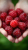ai-generated-9649793_1920.png