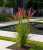 Gemini_Generated_Image_elj86jelj86jelj8.png