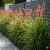 Gemini_Generated_Image_nmgnplnmgnplnmgn (1).png