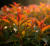 Gemini_Generated_Image_r2yfbjr2yfbjr2yf.png