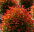 Gemini_Generated_Image_z08i3dz08i3dz08i.png