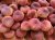 peaches-379893_1920.jpg