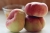 peaches-1446377_1920.jpg