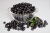 aronia-1589385_1920.jpg