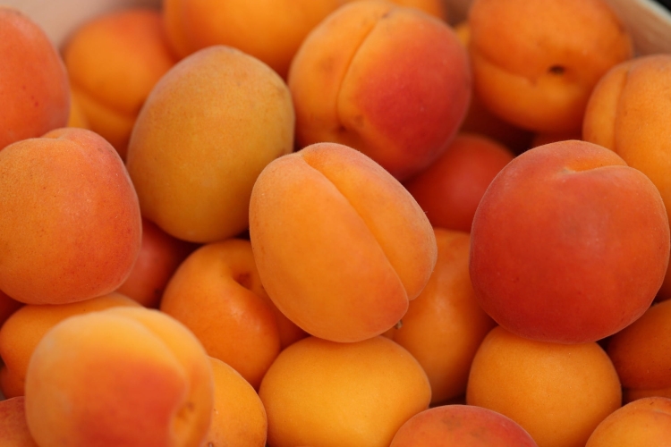 apricots-4210720_1920.jpg