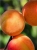 145ba618455a8481534903763fa1.jpeg