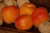 apricots-5120475_1920.jpg