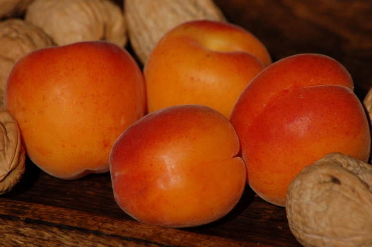 apricots-5120475_1920.jpg
