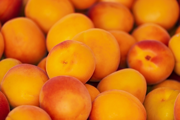 apricots-3433818_1920.jpg