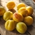 a-photograph-of-several-ripe-yellow-plum_L5Z58j6iSGa1LXpbIuyjwA_aezXRjCaRcyj7oWzQ30ssw.jpeg
