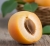 aprigold 2.jpg