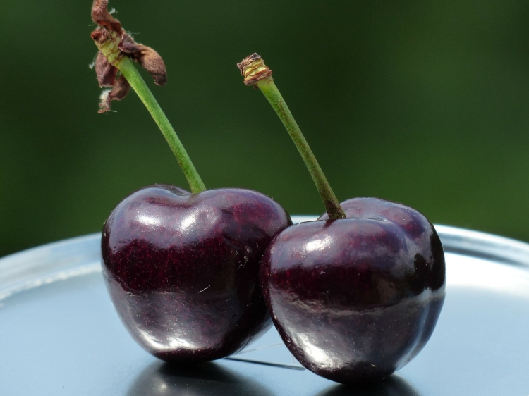 cherries-gd01ad8254_1920.jpg