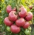 Gemini_Generated_Image_sn28w4sn28w4sn28.jpg