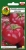 pomidor prezes-OW-934-12-PP.jpg