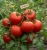 Gemini_Generated_Image_qnm408qnm408qnm4.jpg