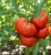 Gemini_Generated_Image_anrv3panrv3panrv.jpg