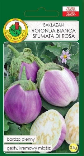 Nasiona-oberzyny---Baklazan-Rotonda-Bianca-Sfumata-Di-Rosa.jpg