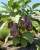 Gemini_Generated_Image_9e9bny9e9bny9e9b.jpg