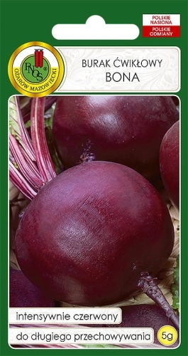 Nasiona-PNOS---BURAK-CWIKLOWY-BONA.jpg