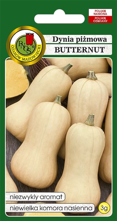 dynia butternut-OW-946-12.jpg