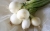 onion-1529070_1920.jpg