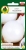 Nasiona-PNOS---Cebula-Agostana-1g.jpg