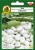 Bob Dragon-OW-889-12-g-PP.jpg