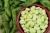 broad-beans-5479434_1920.jpg