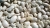beans-3259013_1280.jpg