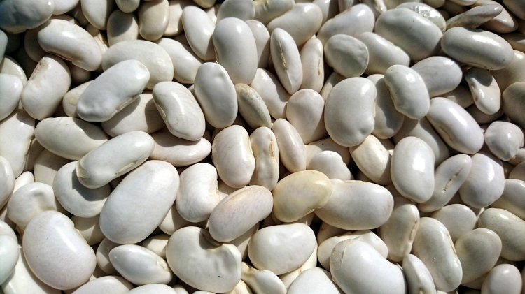 beans-3259013_1280.jpg
