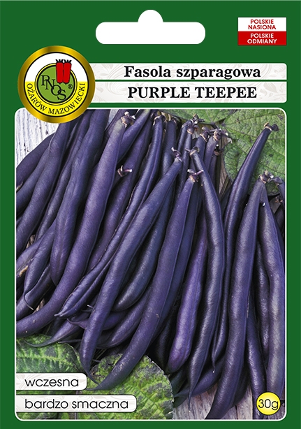 fasola purple teepee-OW-929-12-g.jpg