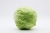cabbage-7191817_1920.jpg