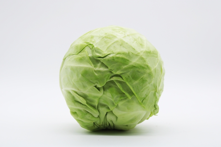 cabbage-7191817_1920.jpg