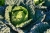cabbage-6702469_1920.jpg