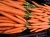 carrots-5455404_1920.jpg