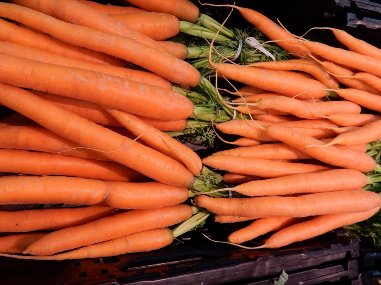 carrots-5455404_1920.jpg