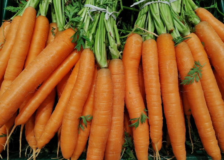 carrots-4770035_1920.jpg