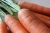 carrot-3933836_1920.jpg
