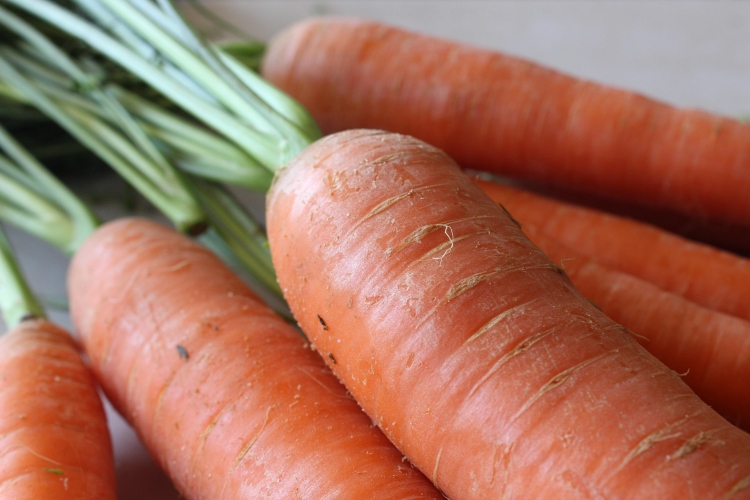 carrot-3933836_1920.jpg