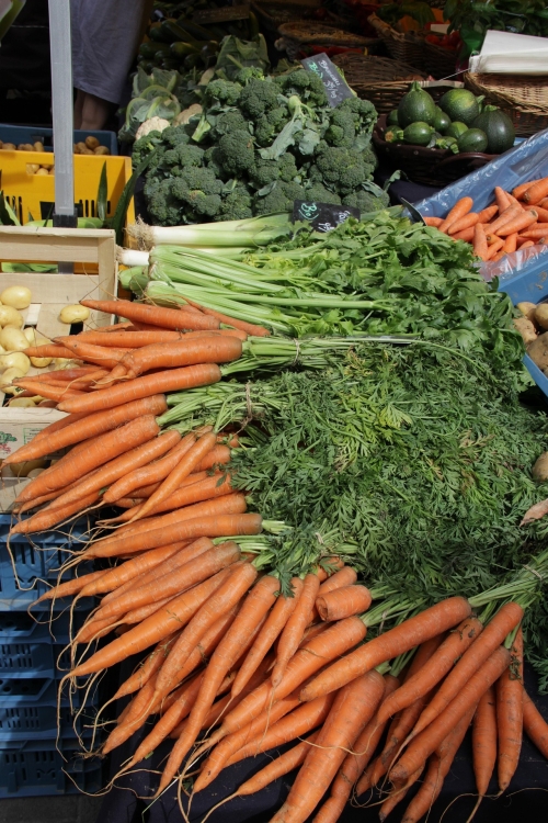 carrot-398063_1920.jpg