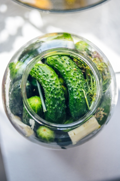 pickled-cucumbers-4403293_1920.jpg