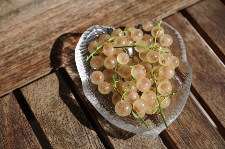 currants-4440465_1280.jpg
