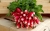 radish-2608622_1920.jpg