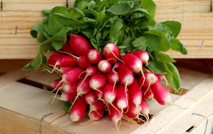 radish-2608622_1920.jpg