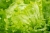 salad-3502149_1920.jpg