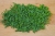 chives-8231073_1920.jpg