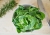 spinach-3708115_1920.jpg