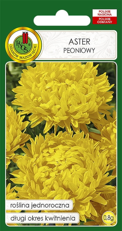 Nasiona-PNOS---aster-peoniowy-zolty.jpg