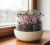 Gemini_Generated_Image_7m4gax7m4gax7m4g.jpg