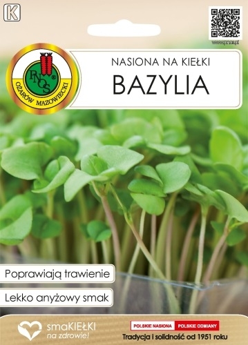nasiona kiełki bazylia.jpg